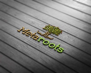 Metaroots is more than just a company, but also staffed by real life people.